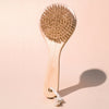 drybrush_mp